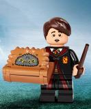 LEGO 71028-neville